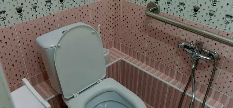 Meeting Diverse Needs With Accessible Restroom Solutions in Candler-McAfee, GA